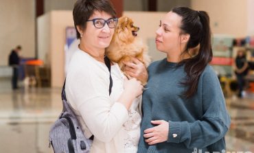Собачьи смотрины: зачем эксперты заглядывают псу под хвост?