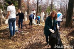 какое направление деятельности не относится к волонтерам победы