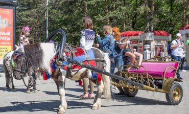 Катание на лошадях в Хабаровске – противозаконно