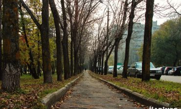 Новые законы ноября 2019 года: что изменится в жизни россиян