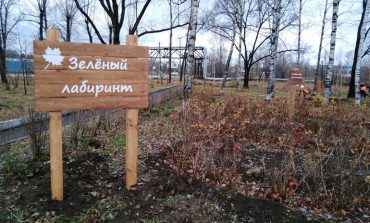 На «зелёных» тропах Хабаровска высадили уникальную флору