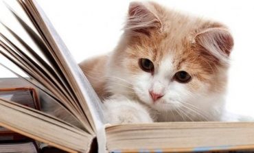 Лучшие книги 2019 года и новинки 2020: что выбрать почитать?