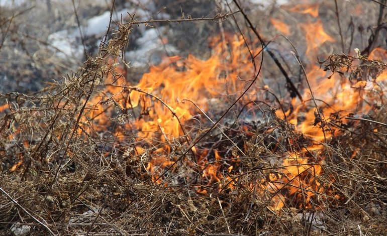 Будем гореть: масштабные пожары ожидаются нынешним летом