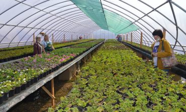 В Хабаровске открылся садовый центр «Герань»