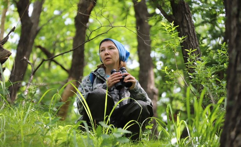 Тайна одной экспедиции: почему в Хабаровском крае растёт популяция черноклювых