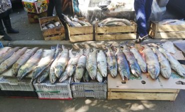 Лососевых нет: в поисках доступной рыбы в Хабаровске