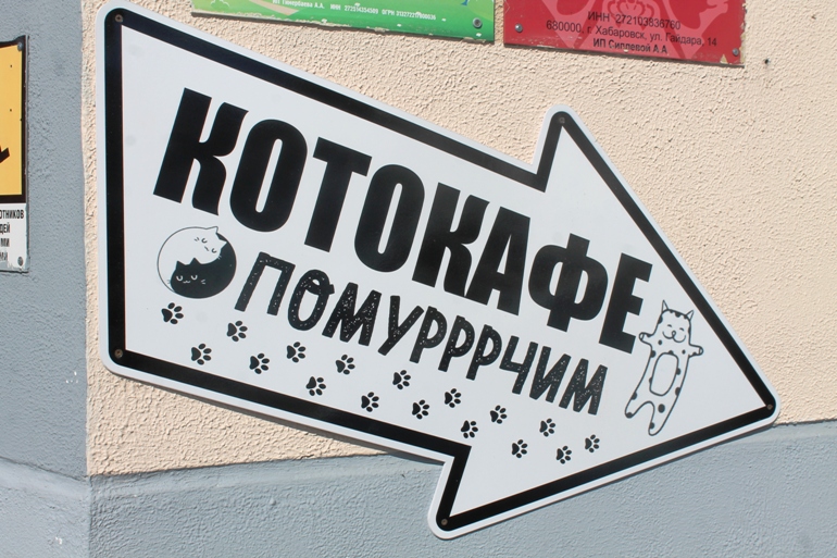 Teach me how to drink хабаровск адрес. Смотреть фото Teach me how to drink хабаровск адрес. Смотреть картинку Teach me how to drink хабаровск адрес. Картинка про Teach me how to drink хабаровск адрес. Фото Teach me how to drink хабаровск адрес