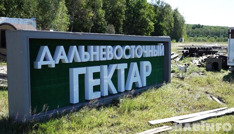 Дальневосточный гектар: дикие звери мешают развитию фермерства