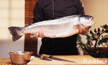 В Хабаровске будут выращивать атлантического лосося