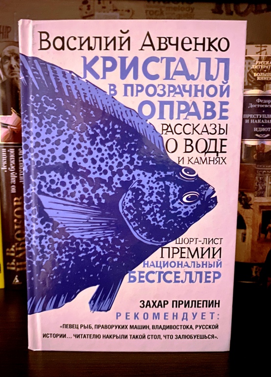 Современная дальневосточная литература жива: чем она «дышит», и что почитать