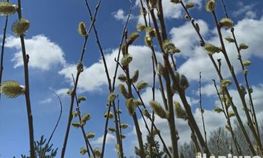 Неласковый май: какой будет погода в конце весны в Хабаровске