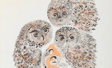Детский художник Никита Чарушин в Дальневосточном художественном музее