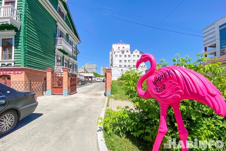 «Скверные» мечты: три новых площадки хотят открыть в Хабаровске