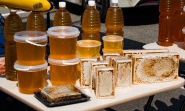 Коли мёд, так и ложку: «Медовый спас» в Хабаровске