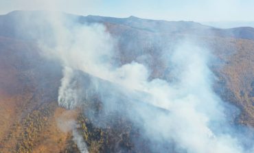 «Нужно просто говорить правду»: природный памятник у озера Амут пытаются спасти от пожара