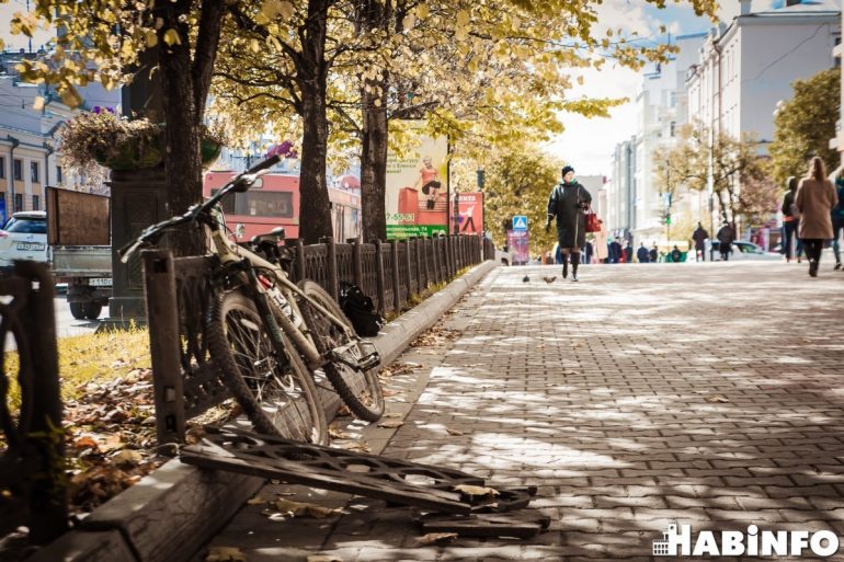 Здоровый образ жизни: как за год изменилась стоимость велосипедной прогулки в Хабаровском крае