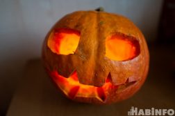 Как вырезать зубы у тыквы. Смотреть фото Как вырезать зубы у тыквы. Смотреть картинку Как вырезать зубы у тыквы. Картинка про Как вырезать зубы у тыквы. Фото Как вырезать зубы у тыквы