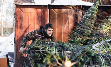 Ёлочные браконьеры из Хабаровска рубили только макушки, чтобы не угодить за решетку