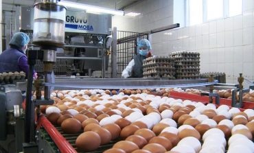 Край обеспечивает себя куриным яйцом на 100%, но яйца дорожают. Почему?