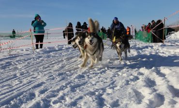 Сезон гонок на собачьих упряжках стартовал в Хабаровском крае