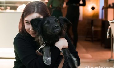 Дог-френдли бар в Хабаровске: «Вторник»