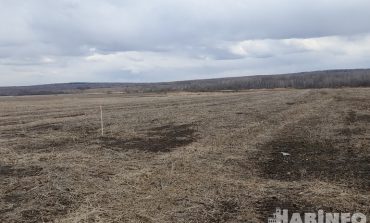 Триста рублей в год: в Хабаровском крае раздают земли