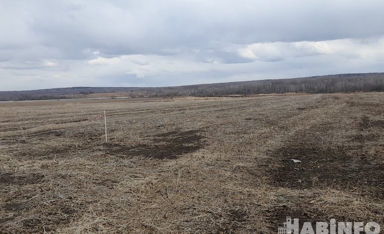 Триста рублей в год: в Хабаровском крае раздают земли