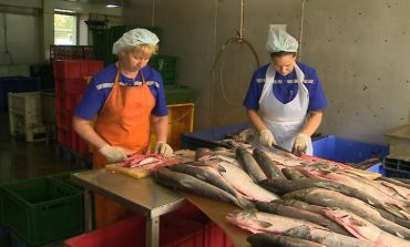 Рыбоперерабатывающий завод в Хабаровске увеличит производство в 2,5 раза