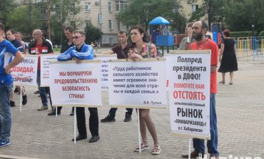 «Рассада зла»: кому мешает дачный рынок в Хабаровске