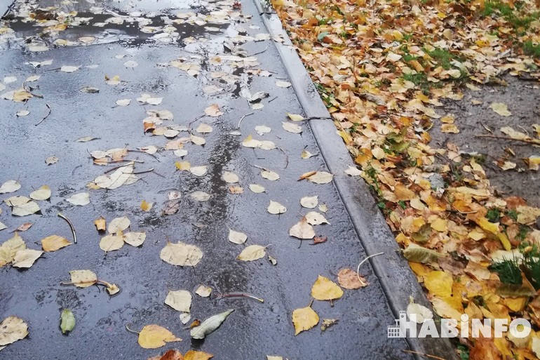 Погода на сентябрь в Хабаровске