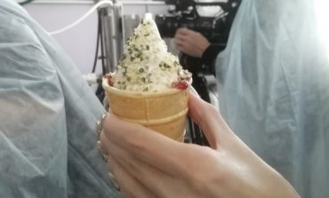Весёлая полянка: мороженое с мухомором и семенем конопли предлагают хабаровчанам