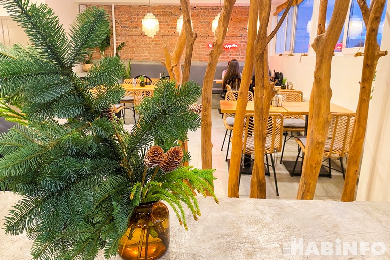 «Прости, салат!»: как мы сходили в вегетарианское кафе Хабаровска