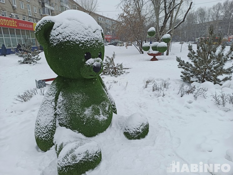 Ясно и ветрено: погода на февраль в Хабаровске