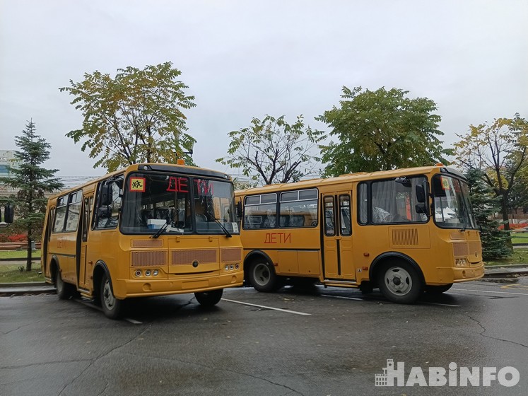 Новые автобусы повезут детей на уроки